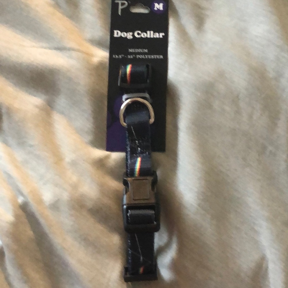 Pink Floyd Dog Collar with Rainbow Stripes